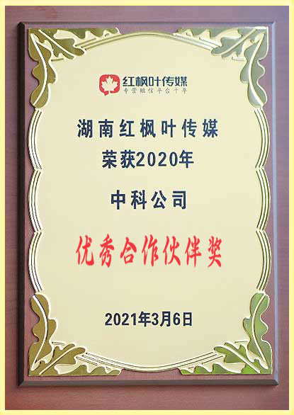 優(yōu)秀合作伙伴獎(jiǎng).JPG